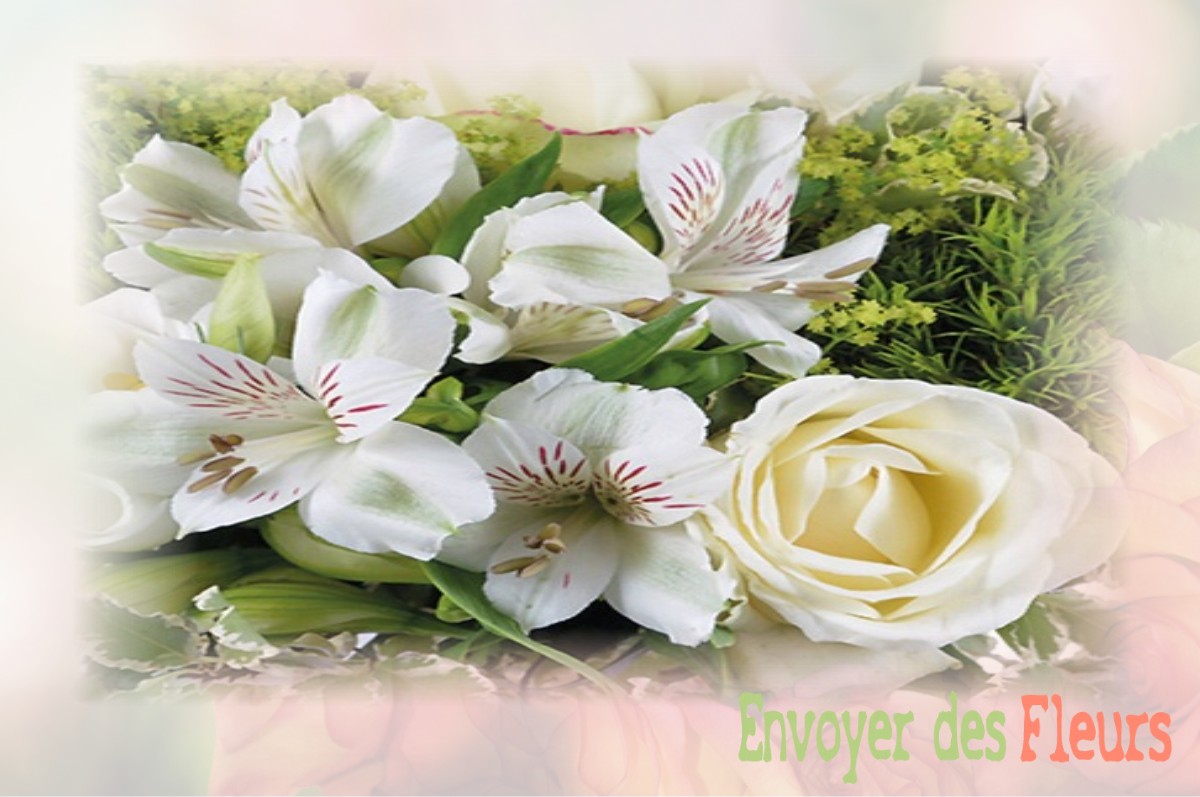 envoyer des fleurs à à AVESNES-EN-SAOSNOIS